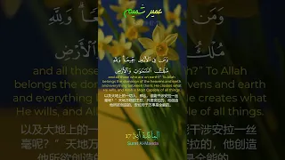 تلاوة هادئة من سورة المائدة ١٦ ٢٠ القارئ عمير الشميم 