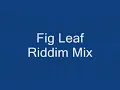 Fig Leaf Riddim Mix (Red Rat - Dwayne)