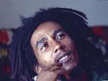 Bob Marley & the Wailers Put it On