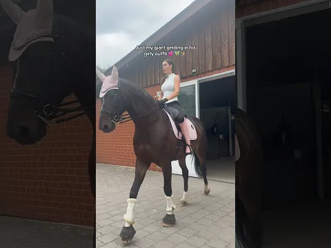Love that 💁🏽‍♀️💞🐴 #horse #equestrian #dressage