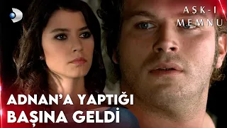 Behlül, Bihter'i Başkasıyla Aldattı! - Aşk-ı Memnu
