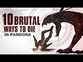 Download Lagu 10 BRUTAL Ways to Die in PANDORA | Avatar's worst nightmares