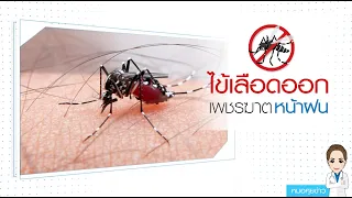 อาการแรกเริ่มของโรคไข้เลือดออกมีอะไรบ้าง และควรสังเกตอะไรเป็นพิเศษ