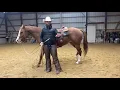Teach your horse to Pick you up at the Mounting Block