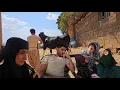 Download Lagu 🌄 Real-Life Nomadic Challenges: Family Dispute Over Selling Cows 🐄 | A True Story of Sajjad \u0026 Rahele