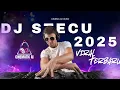 Download Lagu DJ STECU STECU VIRAL TERBARU 2025