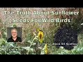 The Truth About Sunflower Seed For Birds