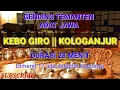 Download Lagu KEBO/GIRO KOLOGANJUR GENDING TEMU MANTEN VERSI ORGEN TUNGGAL