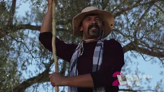 تشاهدون اليوم حلقة 18 من مسلسل نسمات أيلول على تلفزيون الثانية حيث الكوميديا تملأ الأجواء بالفرح 