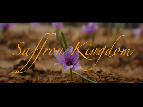 Official Trailer 2