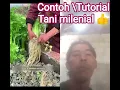 Download Lagu #duet #tutorial #tani #sayuran #collab #trending #buruh #talenta    🌟❤️ tonton video selanjutnya 👃👋💓