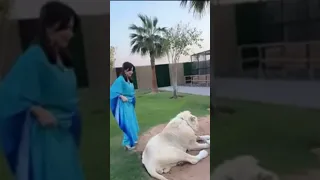 بيسان اسماعيل وخطيبها محمود        دندنها