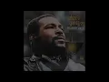 Marvin Gaye - Mercy Mercy Me (The Ecology) (Lyrics)  [HD]