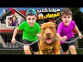 Download Lagu خلودة ومالك سرقوا كلب الجيران الشرس وهربوا معو !كان رح يعضون😱
