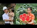 Download Lagu WATERMELON JUICE | Harvesting Watermelon and Making Smoothies to Treat the Whole Family | Ly Phuc An