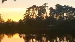 امنتك عليا عشان لقيتني مصدقاك حالات واتس اب 