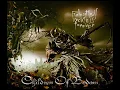 Children Of Bodom - Not My Funeral HD (With Lyrics)