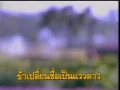 14.ดาวเรืองดาวโรย - พุ่มพวง ดวงจันทร์