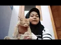 Download Lagu Tugas vidio bahasa indonesiaa 🤏🏻