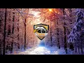 Post Malone - I Fall Apart Happin Remix