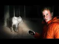 Is The Chupacabra Actually Real
