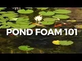 Pond Foam All you need to know about