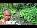 Download Lagu Dezastru! A secat complet Râul...