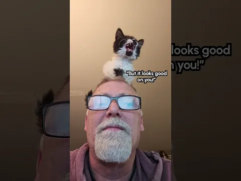 Kitten Sits on Man's Head