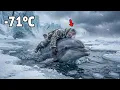 Lagu −71°C Polar Storm | A Dolphin Saves an Injured Old Man Lost in the Frozen Ocean