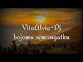 Lagu Vita Alvita-Dj Bojomu Semangatku