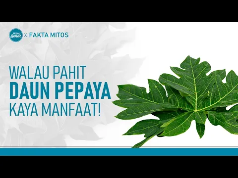 Dibalik Pahitnya Daun Pepaya, Ini Manfaatnya