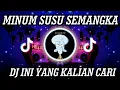 Download Lagu DJ MINUM SUSU SEMANGKA REMIX VIRAL TIKTOK 2023 JEDAG JEDUG