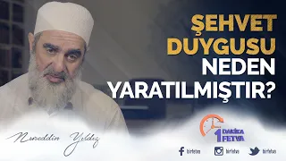 Şehvet Duygusu Neden Yaratılmıştır?
