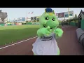 No more Skeeters Houston Astros are renaming their Sugar Land Triple A team
