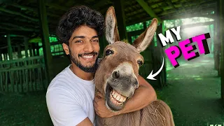 I Tried the World’s Weirdest Pets‼️ 🐜🐘🫏