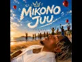Mikono Juu - Iyanii