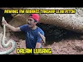 Download Lagu 🟠🟠 PAWANG AW DIPANGGIL ⁉️ TANGKAP ULAR PITON DALAM LUBANG 💯‼️