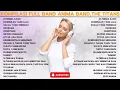 Download Lagu Kompilasi Full Band||Anima Band,The Titans Full Album||Lagu Yang Cocok Untuk Menemanimu||