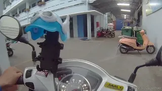                      دندنها