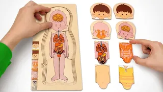 मेरे शरीर के अंदर क्या है? 🧠🫀 बच्चों के लिए मज़ेदार सीख 🌈✨