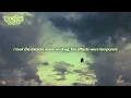 Taylor Swift feat. Post Malone - Fortnight (Lyrics)