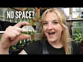 i make a miniature version of my greenhouse for small spaces it s smol