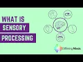 What is Sensory Processing