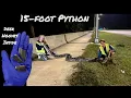 15-foot Python on Naples sidewalk