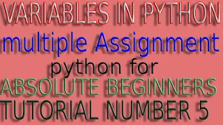 variable in python multiple assignments in python
