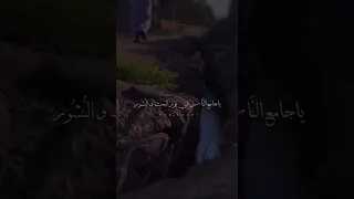 يفالق الصبح يامولج نهارك بليل شعر بدون موسيقى 