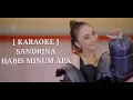 Sandrina - Habis Minum Apa (KARAOKE)