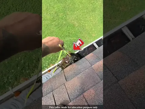Why do Americans spend money to clear leaves accumulated in roof drains?#shortvideo