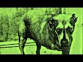 ALICE IN CHAINS - Heaven Beside You (Lyric Video)
