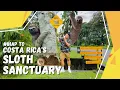 iHAP to the Sloth Sanctuary of Costa Rica